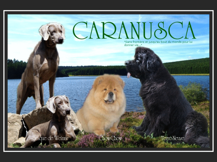 www.caranusca.com