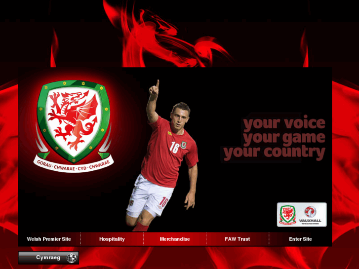 www.faw.org.uk