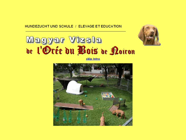 www.noiron-vizsla.ch