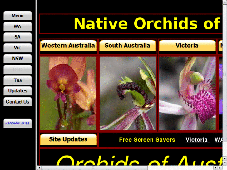 www.orchidsofaustralia.com