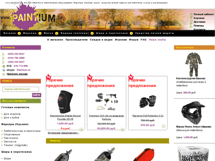 www.paintium.ru