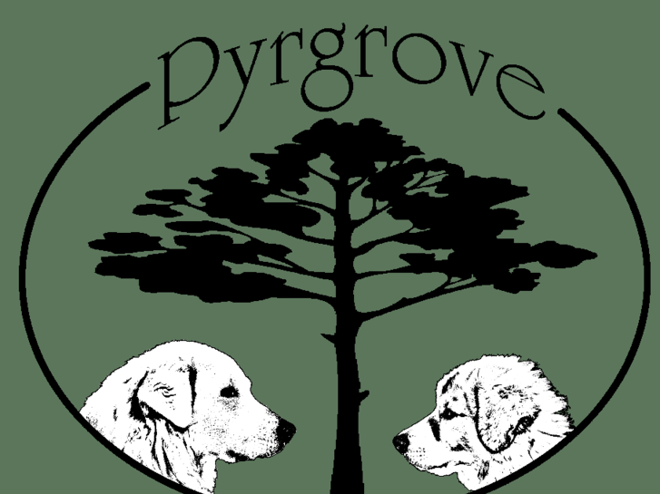 www.pyrgrove.com