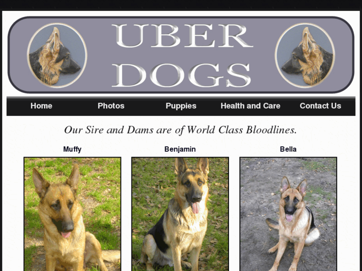 www.uberdogsfl.com