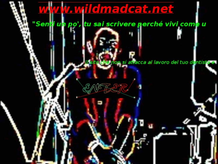 www.wildmadcat.net