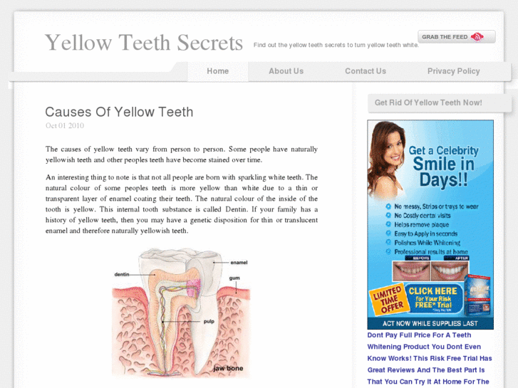 www.yellowteethsecrets.com
