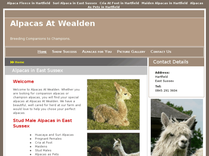 www.alpacassale.net