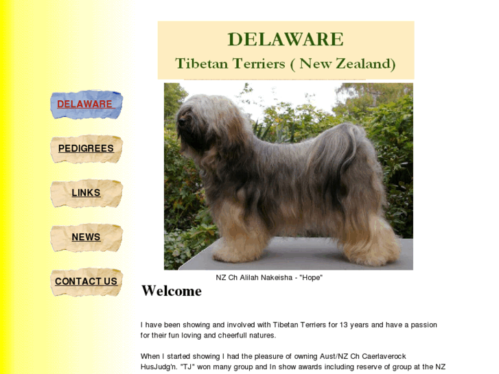 www.delaware-tt.com