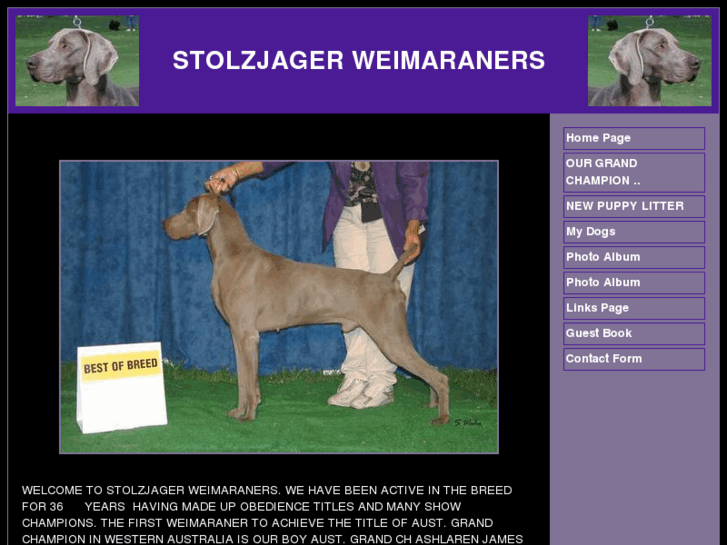 www.stolzjager.com