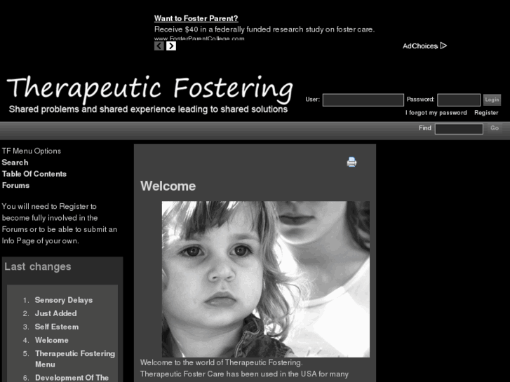 www.therapeuticfostering.com