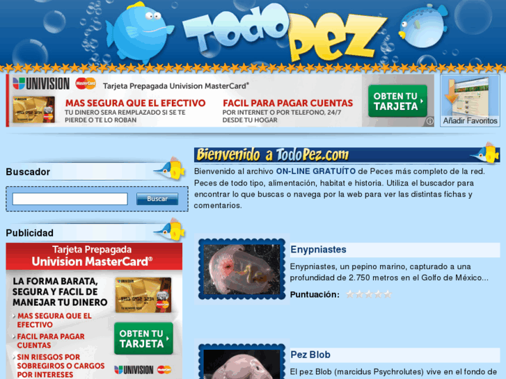 www.todopez.com