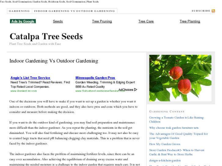 www.catalpatreeseeds.com