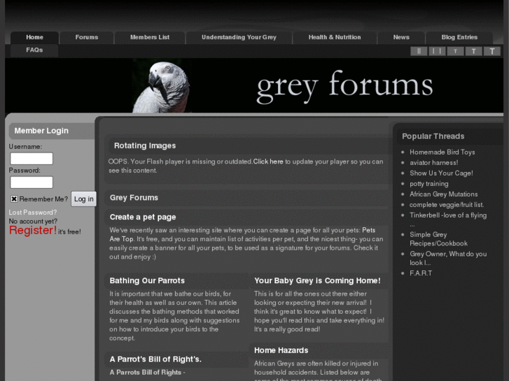 www.greyforums.net