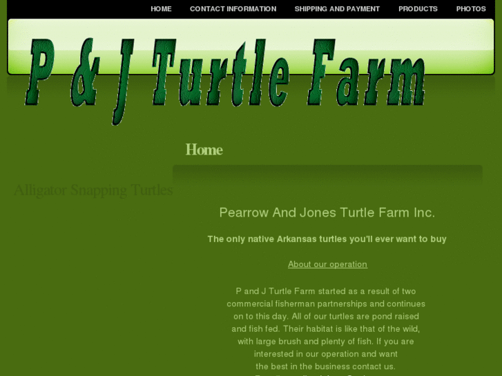 www.turtlesellers.com