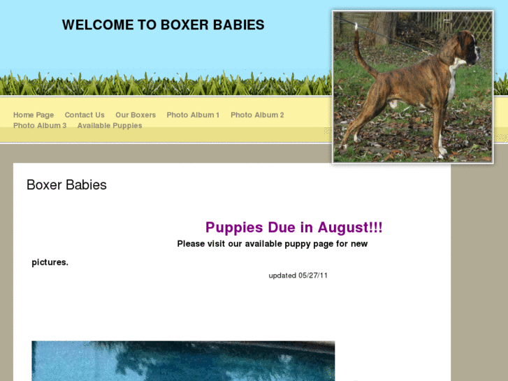 www.boxerbabies.net