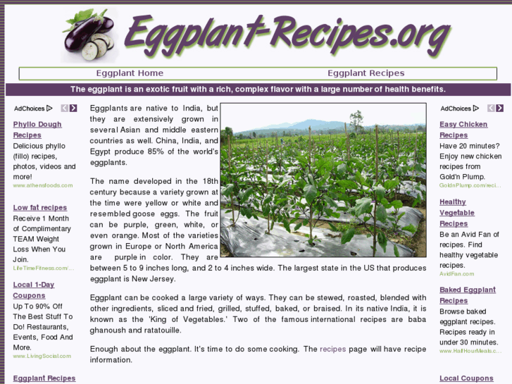 www.eggplant-recipes.org