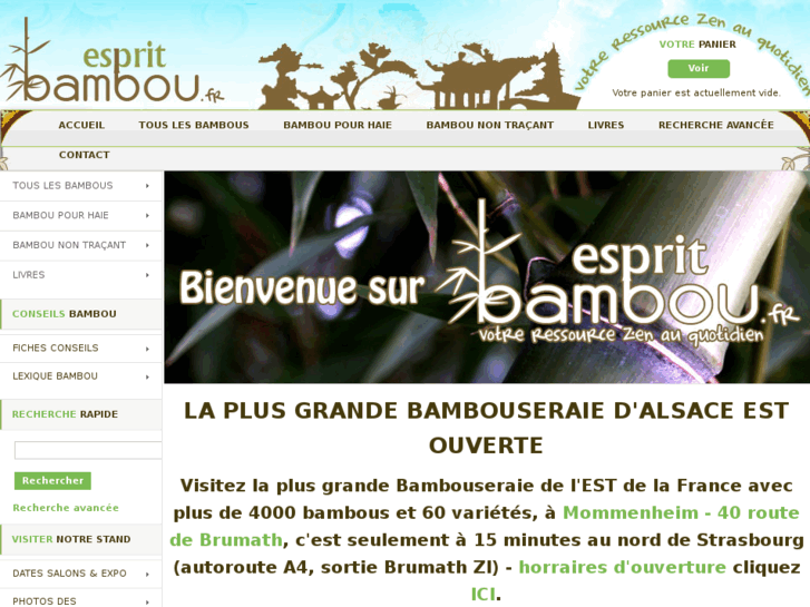 www.espritbamboo.com