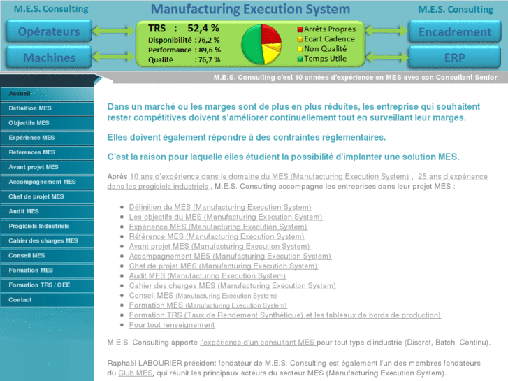 www.manufacturing-execution-system.net