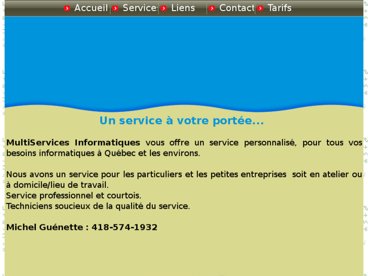 www.multiservicesinformatiques.com