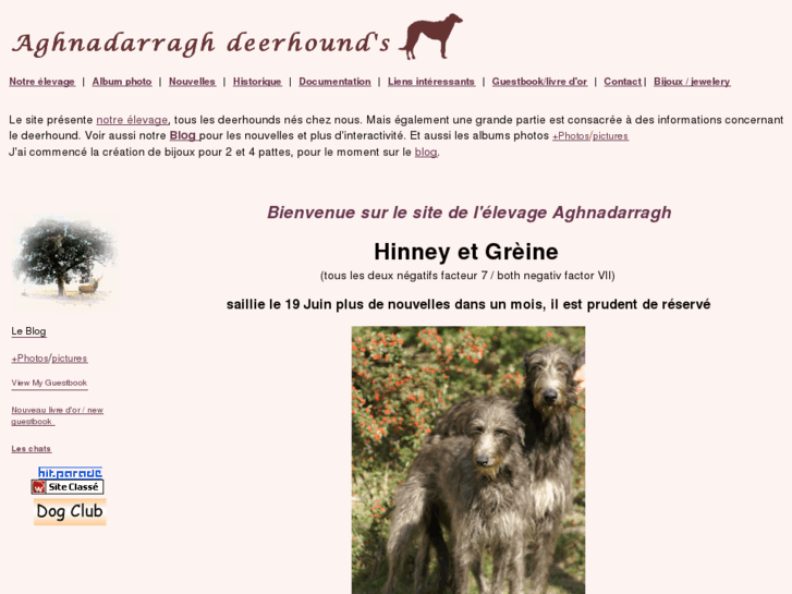 www.aghnadarragh-deerhound.com