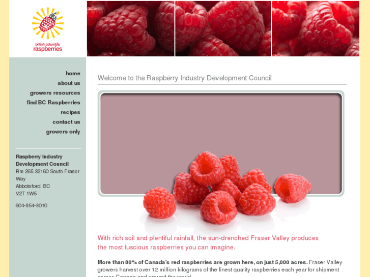 www.bcraspberries.com