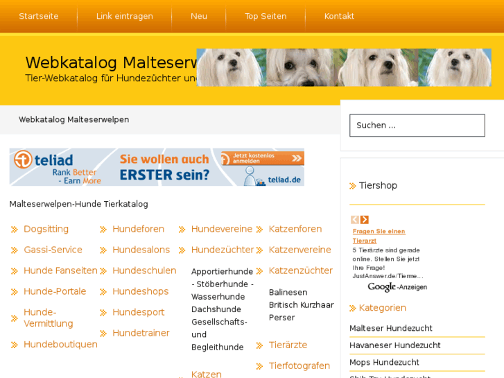 www.malteserwelpen-hunde.de