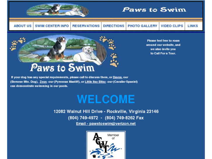 www.pawstoswim.com