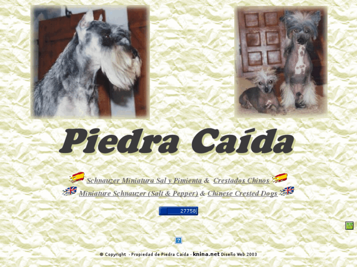 www.piedracaida.com