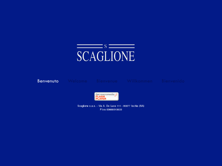 www.scaglionegroup.com