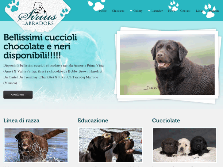 www.siriuslabradors.com