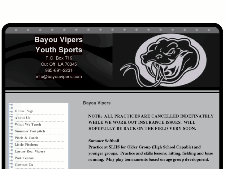 www.bayouvipers.com