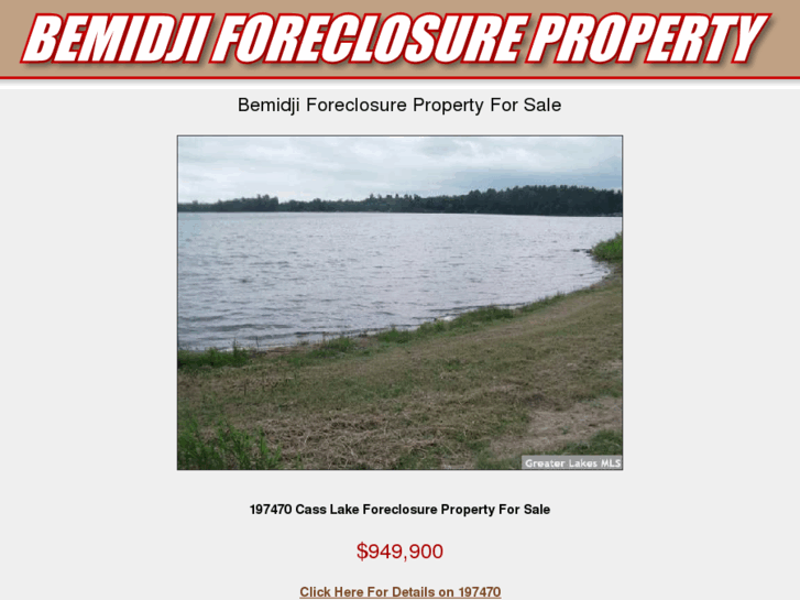 www.bemidjiforeclosureproperty.com