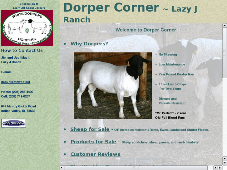 www.dorpercorner.com