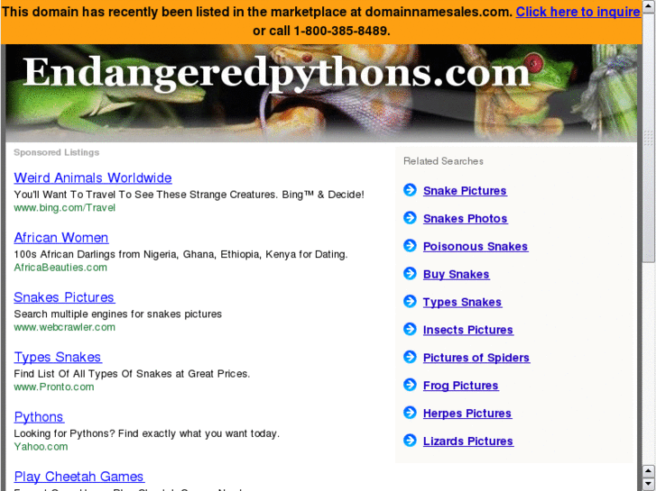 www.endangeredpythons.com