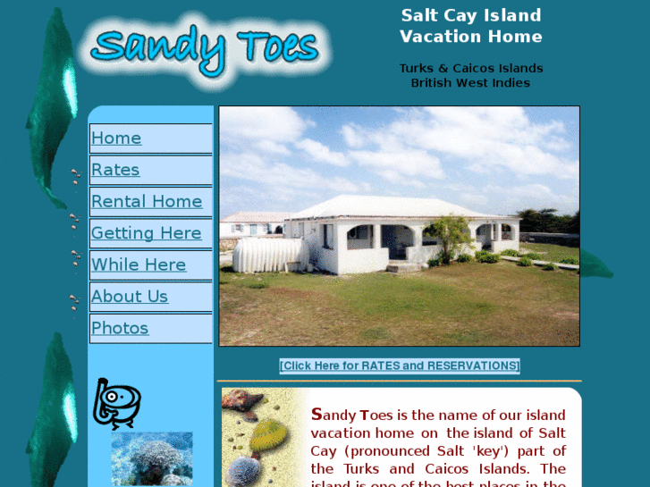 www.sandy-toes.com