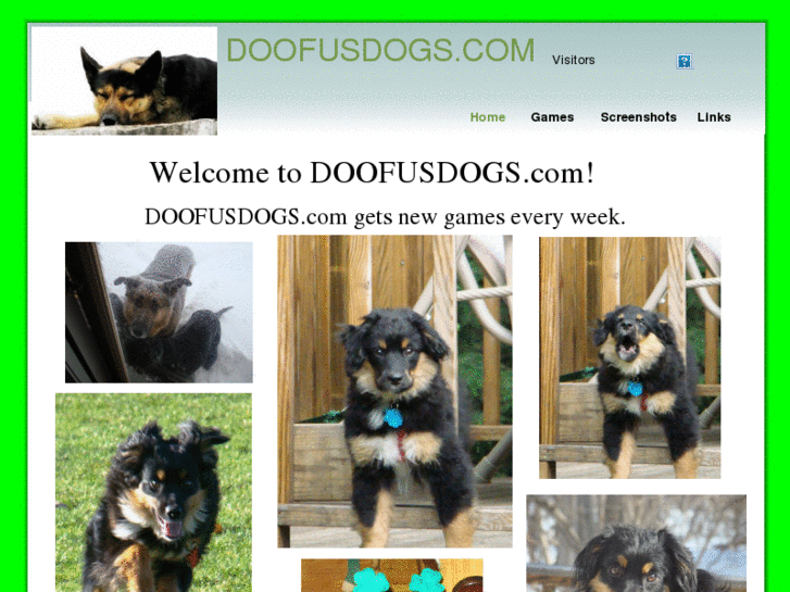 www.doofusdogs.com