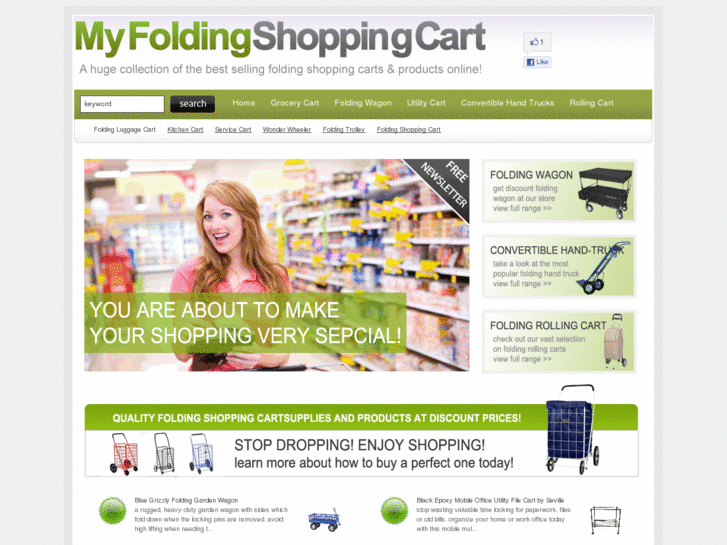 www.myfoldingshoppingcart.com