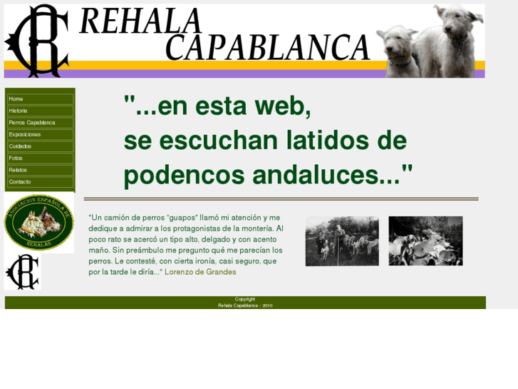 www.rehala-capablanca.com