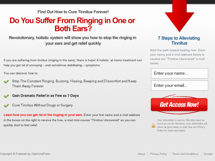 www.ringing-in-ears-treatment.org