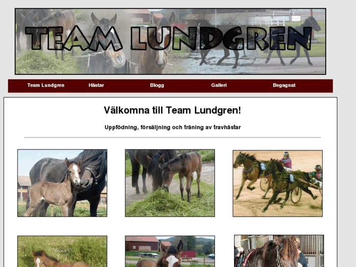 www.teamlundgren.se