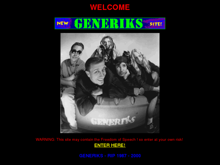 www.thegeneriks.com