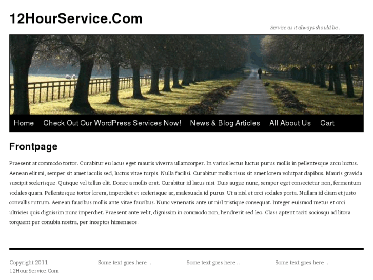 www.12hourservice.com