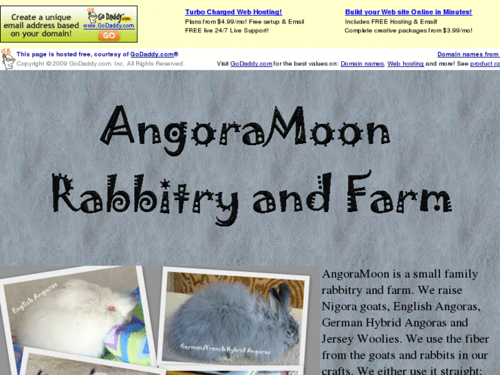 www.angoramoon.com