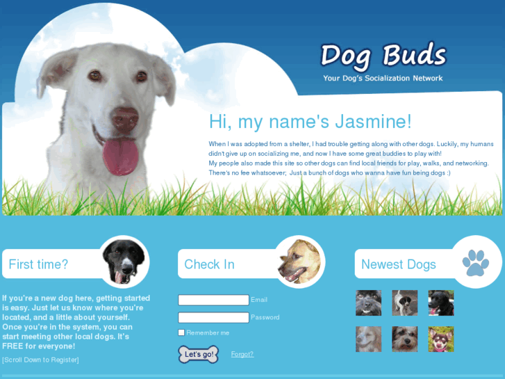 www.dogbuds.com