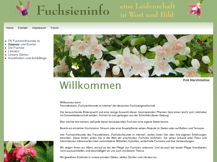 www.fuchsien.info