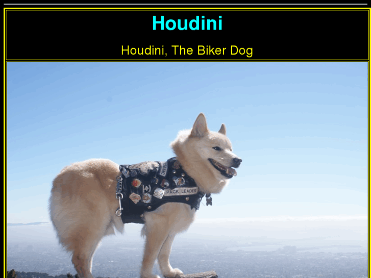 www.houdini.me