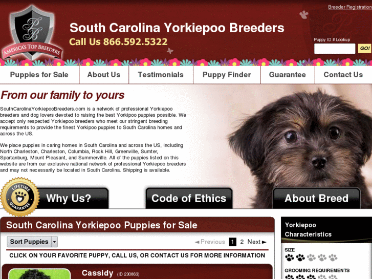 www.southcarolinayorkiepoobreeders.com