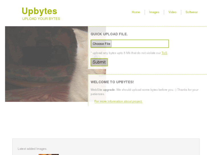 www.upbytes.com