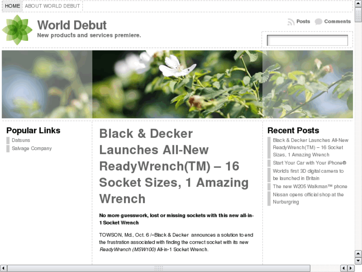 www.worlddebut.info