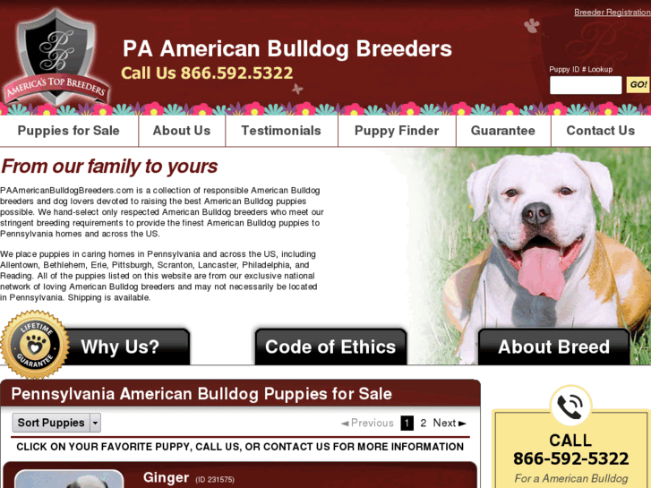 www.paamericanbulldogbreeders.com