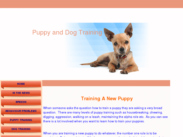 www.puppy-and-dog-training.com